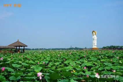 白洋淀 地道戰.茜