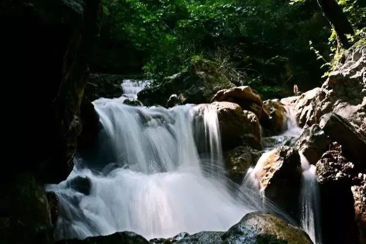 小九寨邢臺云夢愛情山.猴